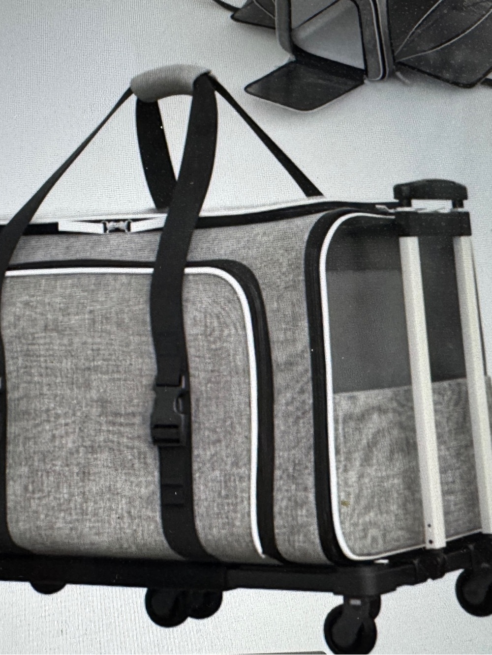Small Pet Dog/ Cat Rolling Carrier -Airline Approved Pet Carrier- Brand New